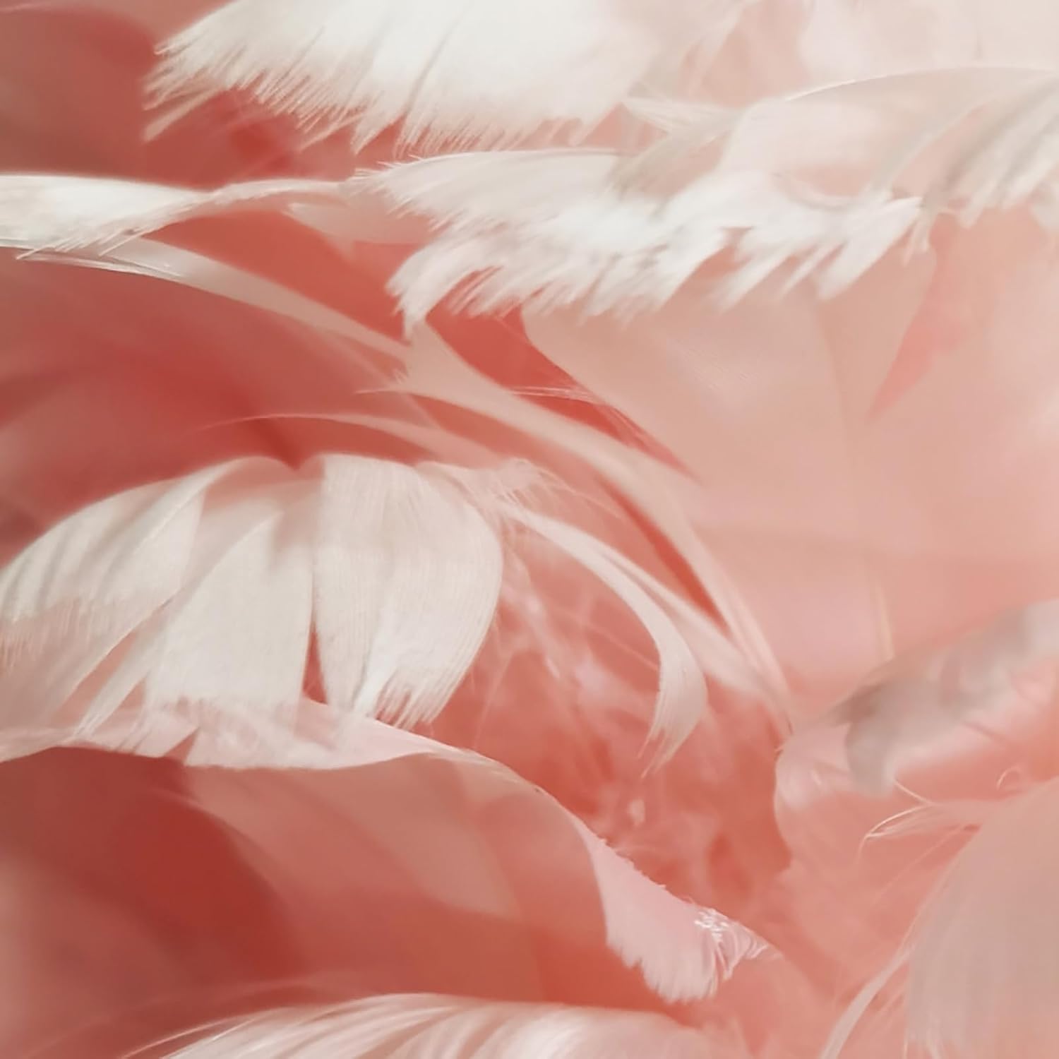 Feather Table Lamp,Flamingo Light Flamingo Lamp,Modern Bedside Lamp Plug in,Large Led Desk Lamp,Decorative Nightstand Lamp Night Light for Bedrooms Living Room Girls Room Decor