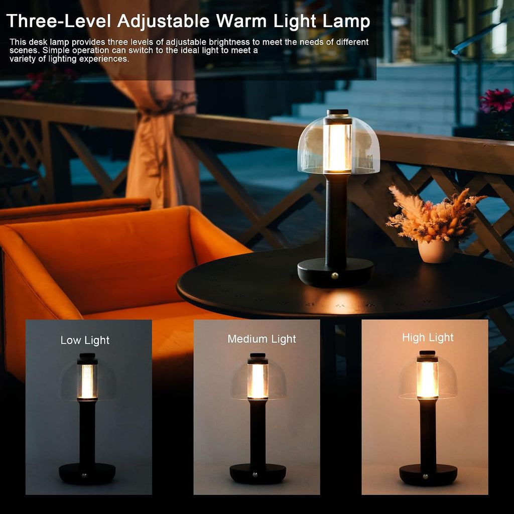 JHY DESIGN 9 Pack Bedside Table Lamp 10' H 3-Color Light Dimmable Nightstand Lamp with Glass Shade Touch Control Table Lamp for Bedroom Living Room Indoors Outdoors（Black,Type-C Charging）