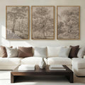 Extra Large Wall Art Framed Vintage Tree Sketch Antique Botanical Forest Prints Rustic Farmhouse Nature Decor for Living Room Bedroom Office 24'x36' Set of 3