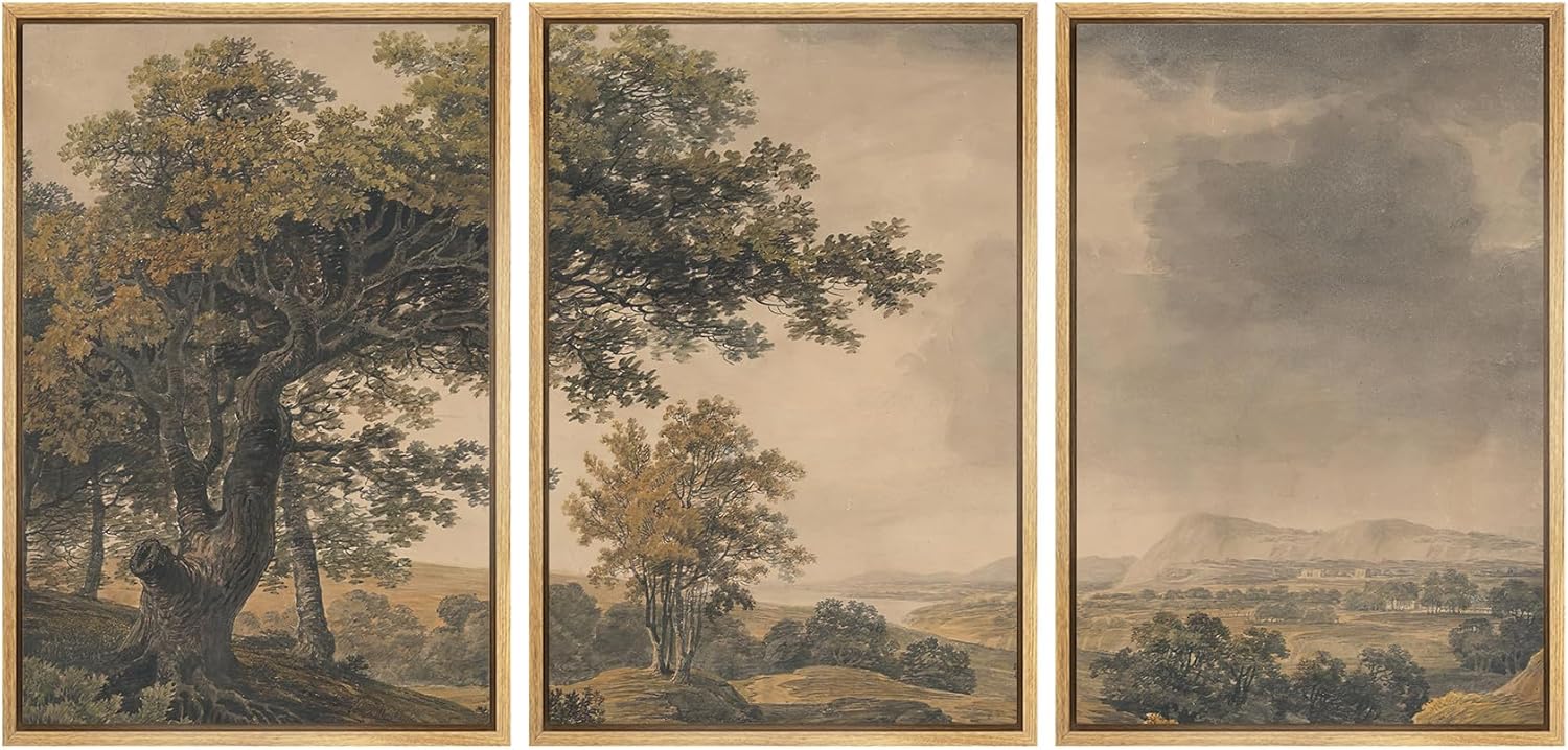MUDECOR Framed Wall Art Print Set Vintage Landscape Rustic Tree and Mountain View Illustrations Decorative Colorful for Living Room, Bedroom, Office - 16'x24'x3 Natural