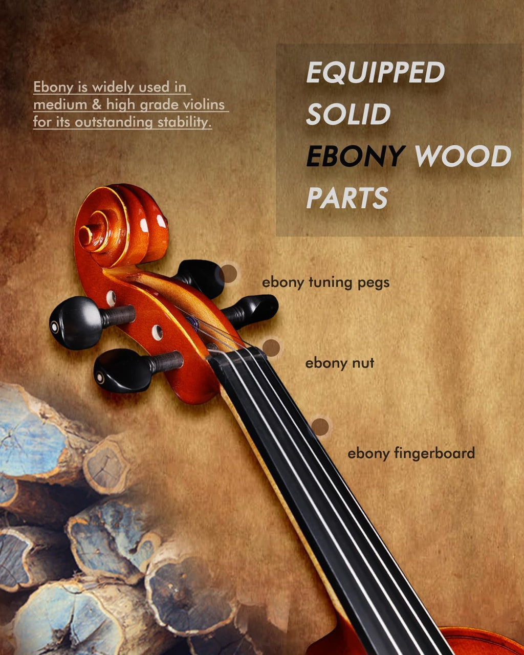 Aileen Solid Wood Violin 4/4 Full Size for Adults Beginners, Fiddle Set for Kids Students Starters Age 12+