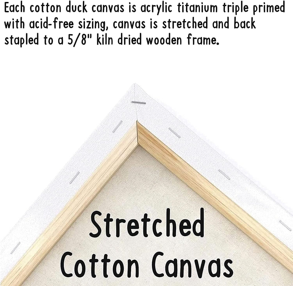 Pre Drawn Canvas Paint Kit for Adults Kids Couples | 4-40 PACK Discounted Bundle | Roller Skates | DIY Birthday Gift & Sip and Paint With Twist Party Favor | 11x14
