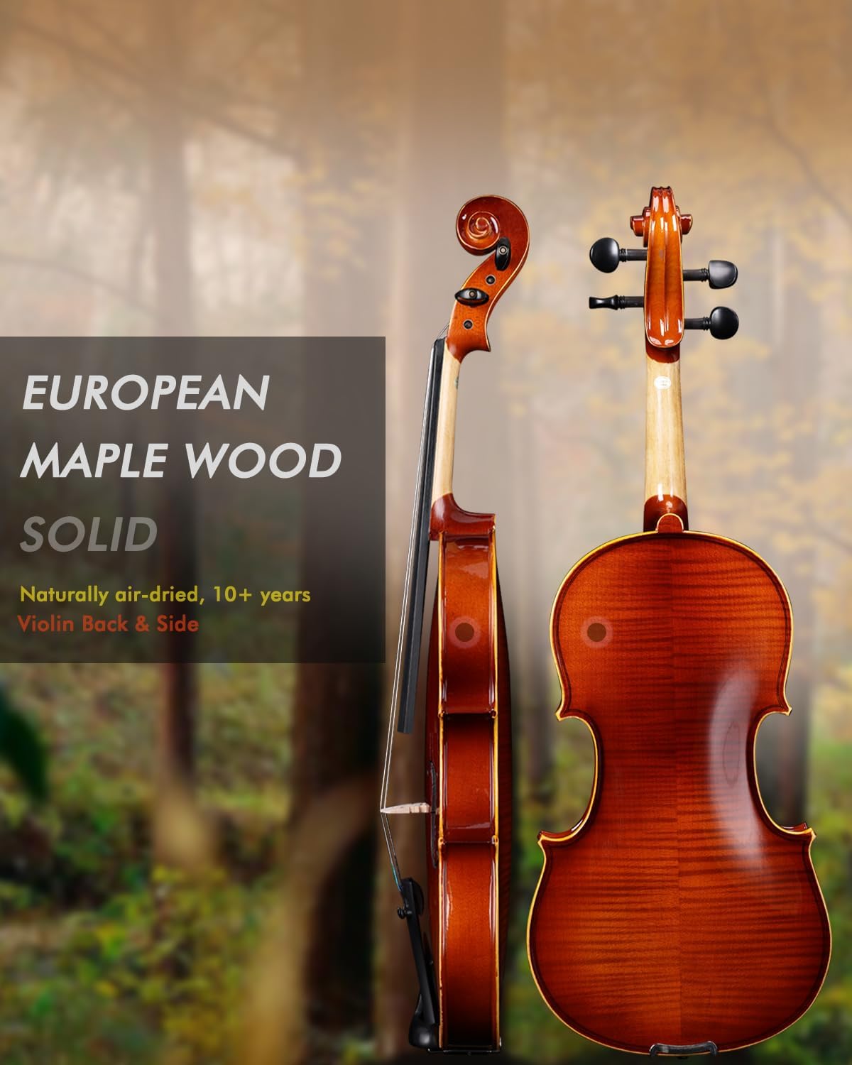 Aileen Solid Wood Violin 4/4 Full Size for Adults Beginners, Fiddle Set for Kids Students Starters Age 12+