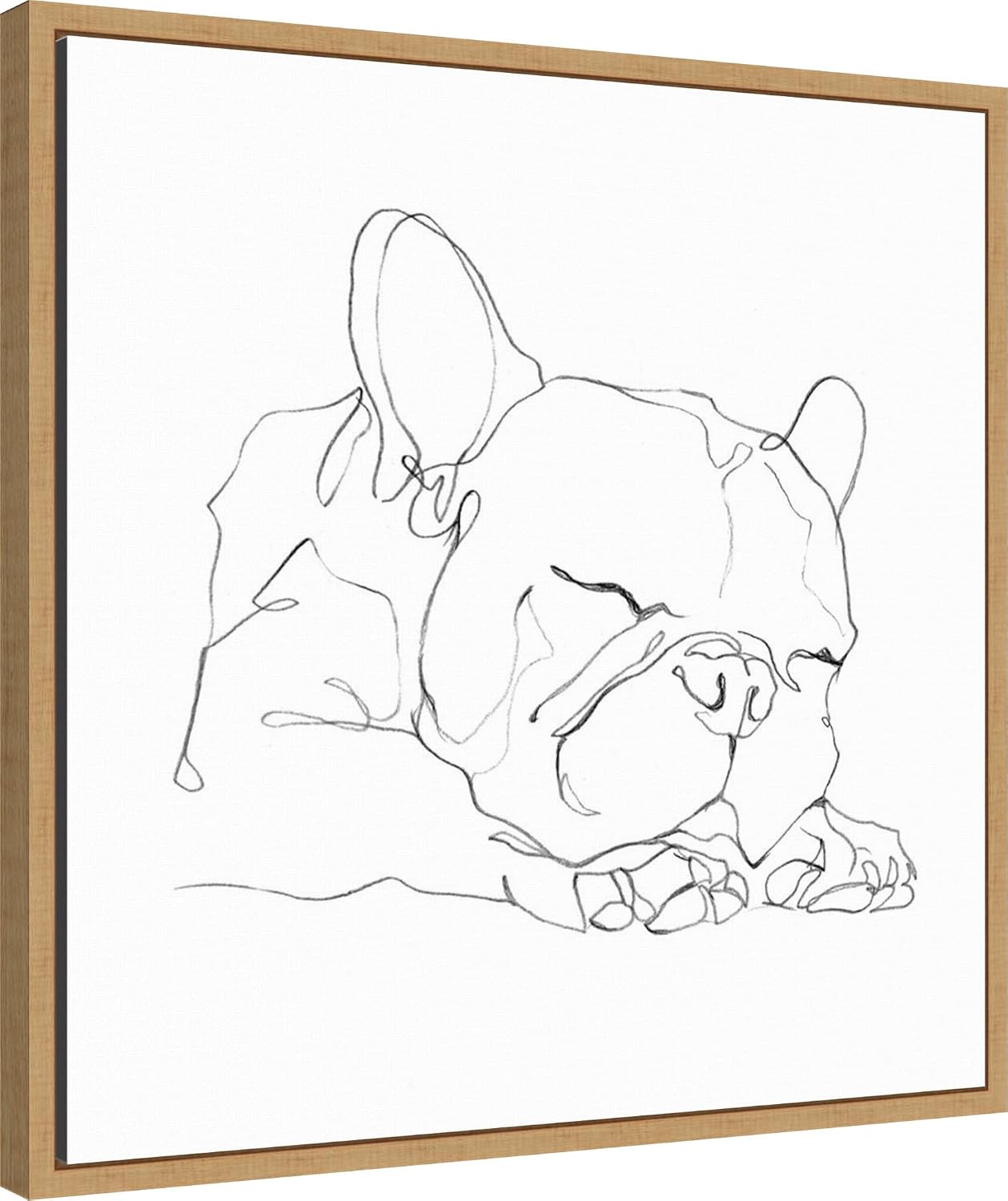 Amanti Art Framed Canvas Wall Art 22x22 French Bulldog Contour II by Ethan Harper, Framed Wall Art Canvas, Animals Artwork, Modern Decor, Medium Poster Painting for Living Room, Bedroom, Bathroom,