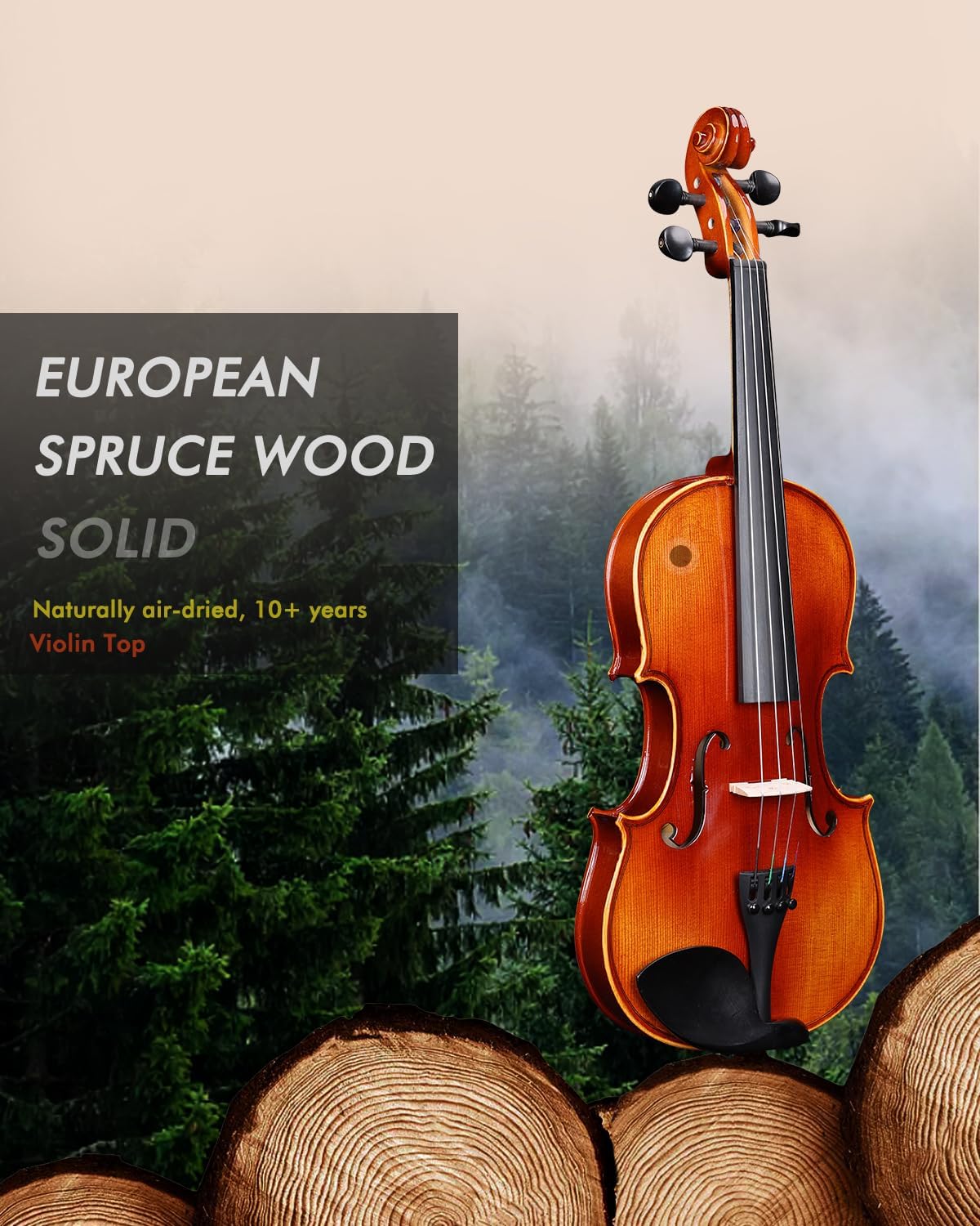 Aileen Solid Wood Violin 4/4 Full Size for Adults Beginners, Fiddle Set for Kids Students Starters Age 12+