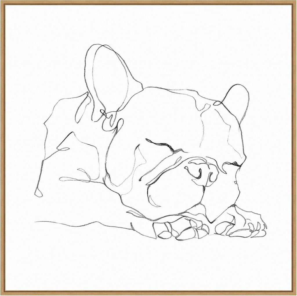 Amanti Art Framed Canvas Wall Art 30x30 French Bulldog Contour II by Ethan Harper, Framed Wall Art Canvas, Animals Artwork, Modern Decor, Large Poster Painting for Living Room, Bedroom, Bathroom,