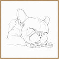 Amanti Art Framed Canvas Wall Art 30x30 French Bulldog Contour II by Ethan Harper, Framed Wall Art Canvas, Animals Artwork, Modern Decor, Large Poster Painting for Living Room, Bedroom, Bathroom,