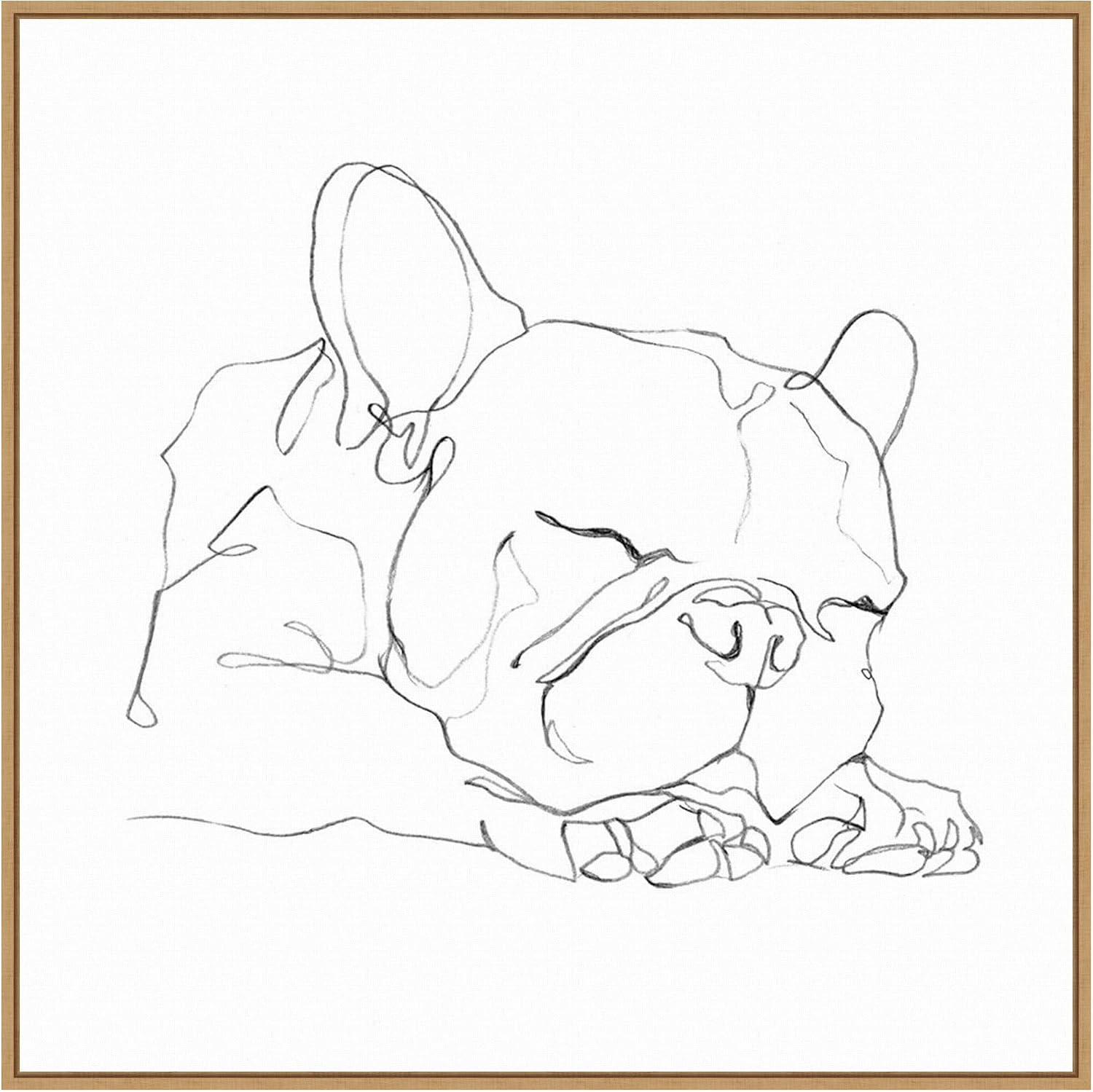 Amanti Art Framed Canvas Wall Art 30x30 French Bulldog Contour II by Ethan Harper, Framed Wall Art Canvas, Animals Artwork, Modern Decor, Large Poster Painting for Living Room, Bedroom, Bathroom,