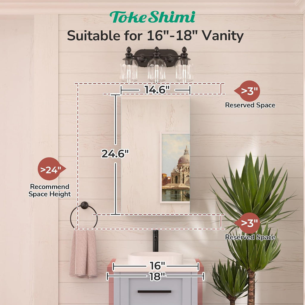 TokeShimi 14x24 Bathroom Mirror with Storage Tempered, Aluminum Black Recessed Medicine Cabinet with Mirror Frameless Stepless Adjustable Shelf, Surface Mount Medicine Cabinet for Bathroom