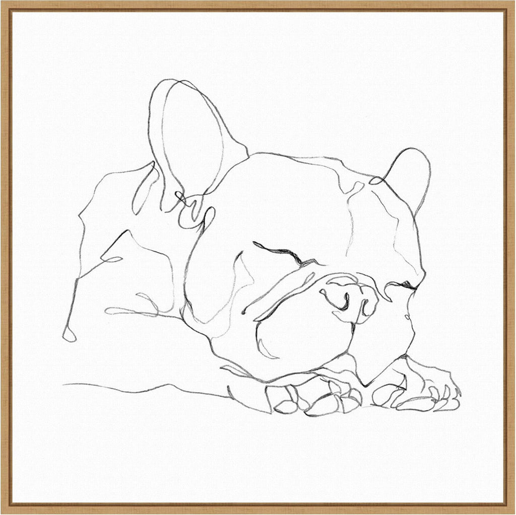 Amanti Art Framed Canvas Wall Art 22x22 French Bulldog Contour II by Ethan Harper, Framed Wall Art Canvas, Animals Artwork, Modern Decor, Medium Poster Painting for Living Room, Bedroom, Bathroom,