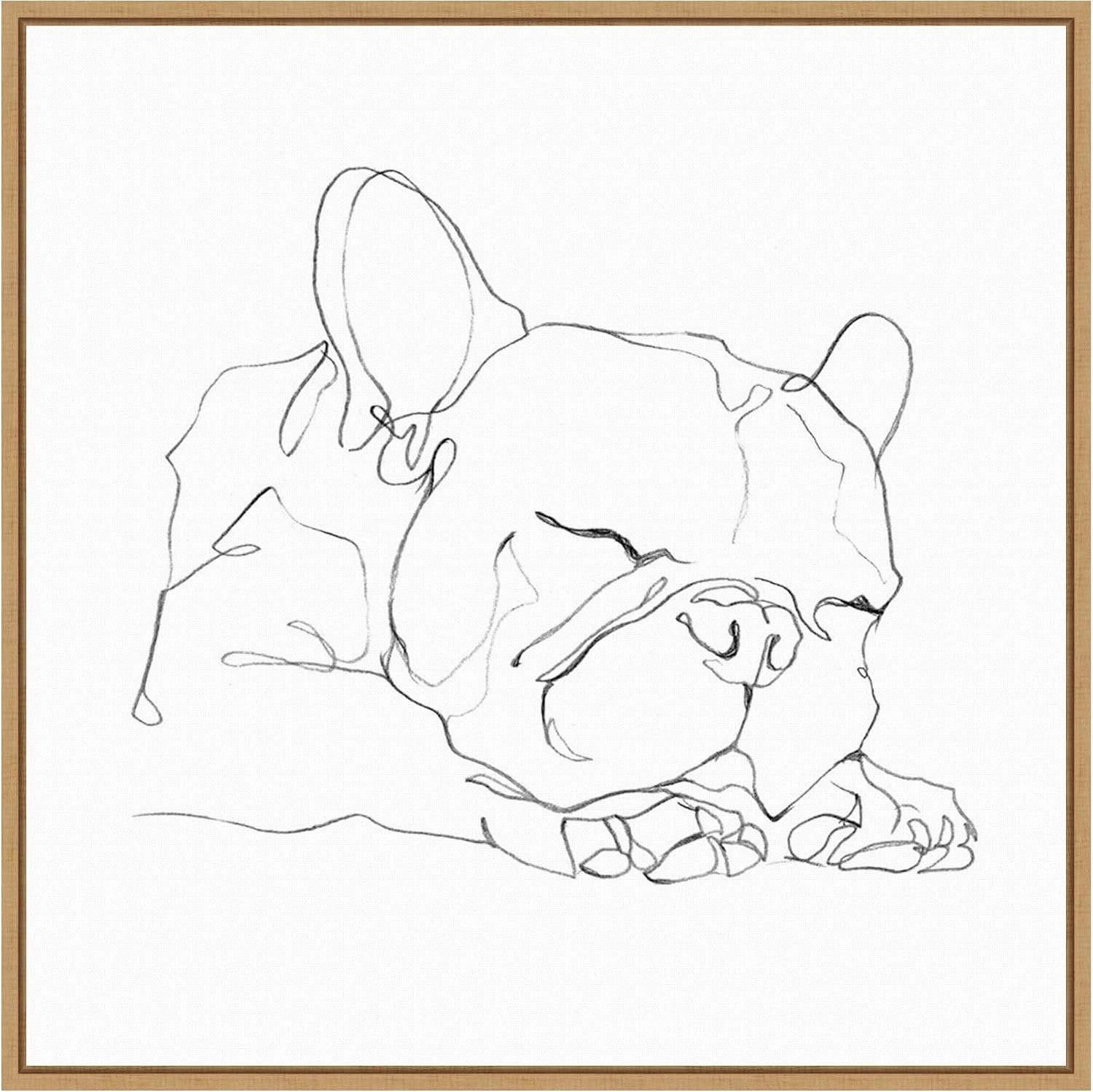 Amanti Art Framed Canvas Wall Art 22x22 French Bulldog Contour II by Ethan Harper, Framed Wall Art Canvas, Animals Artwork, Modern Decor, Medium Poster Painting for Living Room, Bedroom, Bathroom,