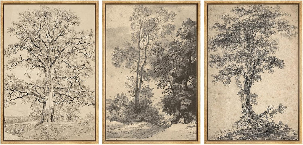 SIGNFORD Framed Canvas Print Wall Art Set Classic Botanical Sketches Black and White Tree Drawings Illustrations Modern Art Relax/Calm for Living Room, Bedroom, Office - 24'x36'x3 Natural
