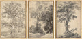 SIGNFORD Framed Canvas Print Wall Art Set Classic Botanical Sketches Black and White Tree Drawings Illustrations Modern Art Relax/Calm for Living Room, Bedroom, Office - 24'x36'x3 Natural