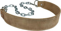 Heavy-Duty Leather Dip Belt with Steel Chain - Ultimate Accessory for Weighted Pullups, Dips, and Progressive Overload