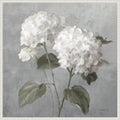 Amanti Art Framed Canvas Wall Art 30x30 White Hydrangeas by Danhui Nai, Framed Wall Art Canvas, Flowers Artwork, Traditional Decor, Large Poster Painting for Living Room, Bedroom, Bathroom, Kitchen
