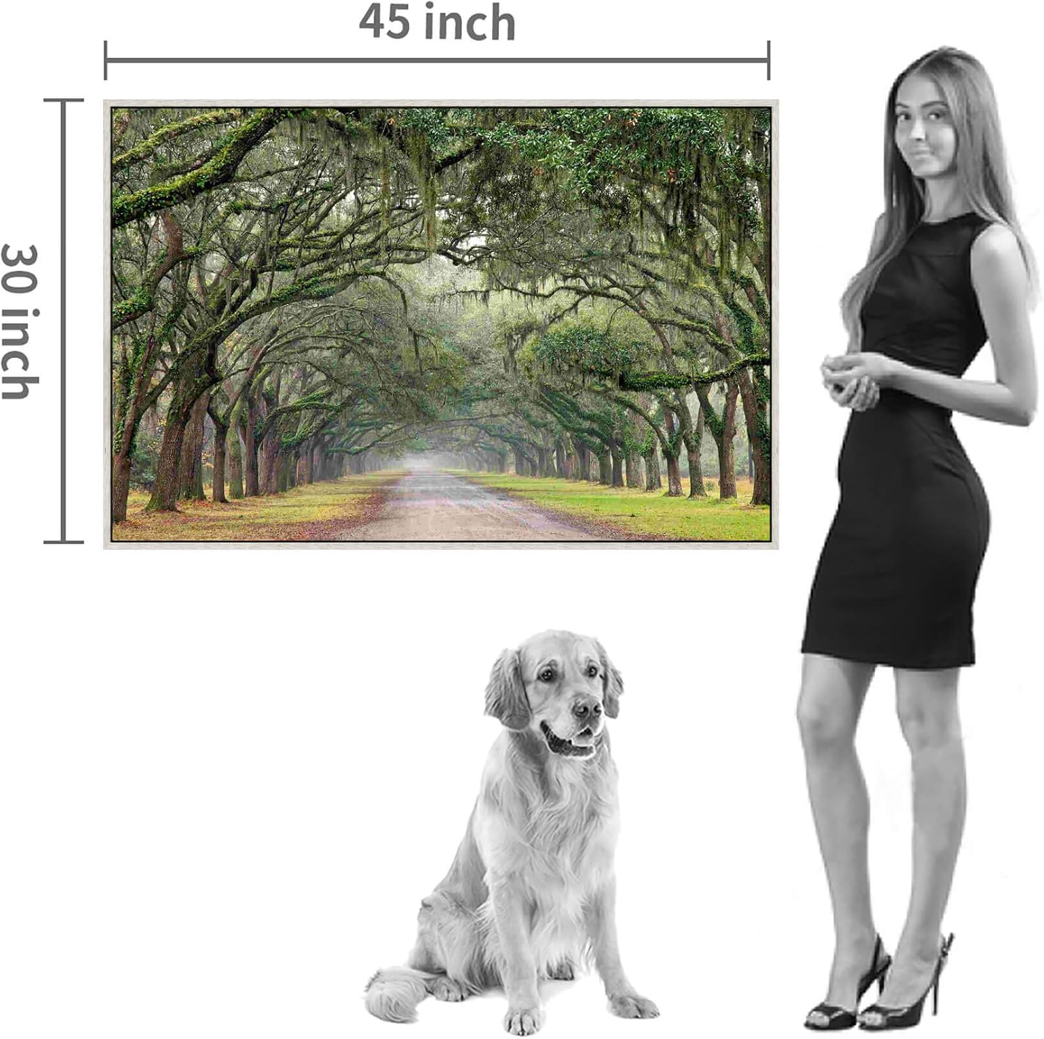 Green Oak Trees Canvas Artwork: Landscape Forest Picture Painting Wall Art Framed for Living Room (45'' x 30'' x 1 Panel)