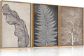 HLNIUC Botanical Neutral Framed Wall Art Set, Abstract Fern Leaf Canvas Wall Decor, Vintage Rustic Plant Wall Painting, Black Beige Nature Art Print for Living Room, Bedroom, Office - 24'x36'x3