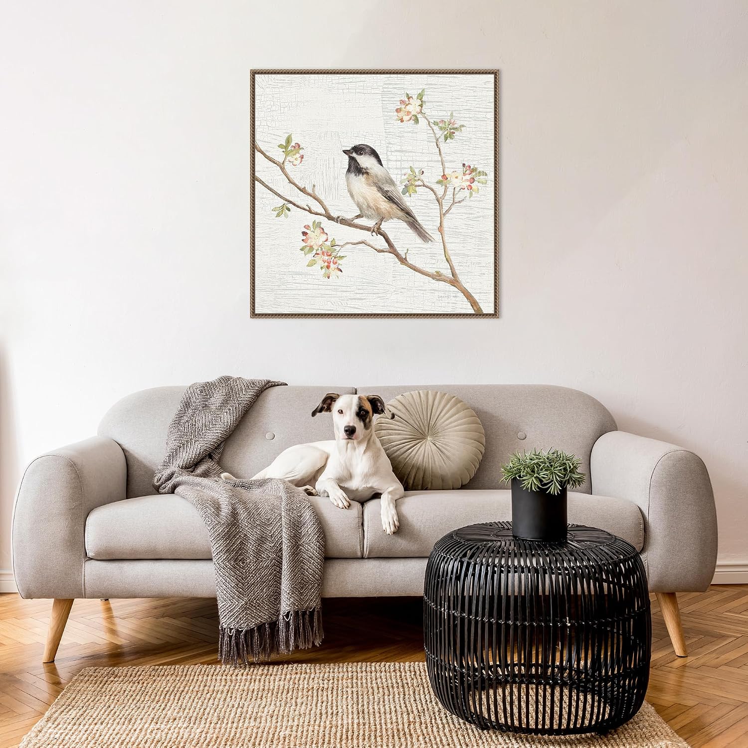 Amanti Art Framed Canvas Wall Art 30x30 Black Capped Chickadee Vintage by Danhui Nai, Framed Wall Art Canvas, Animals Artwork, Traditional Decor, Large Poster Painting for Living Room, Bedroom,