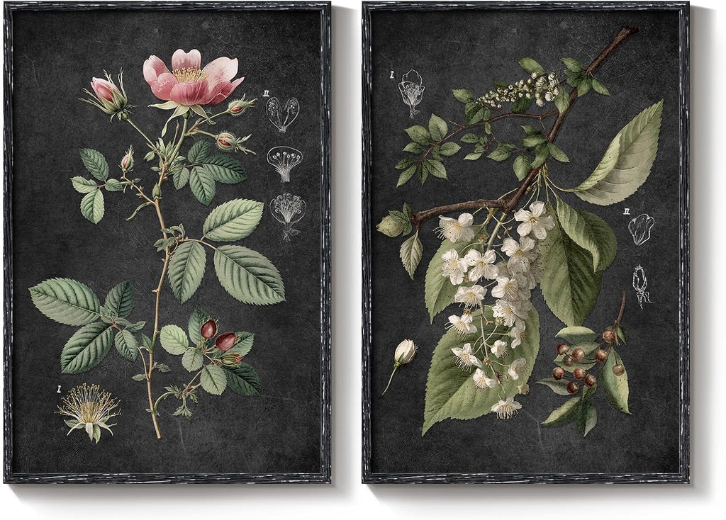 Large Framed Vintage Botanical Wall Art Set of 2, Rustic Retro Dark Floral Canvas Paintings Prints, Antique Flower Pictures for Farmhouse Living Room Hallway Bedroom Dining Room Wall Decor, 24x36 Inch