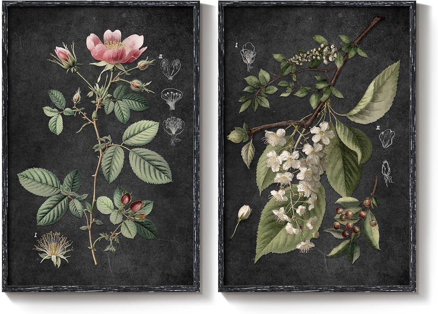 Large Framed Vintage Botanical Wall Art Set of 2, Rustic Retro Dark Floral Canvas Paintings Prints, Antique Flower Pictures for Farmhouse Living Room Hallway Bedroom Dining Room Wall Decor, 24x36 Inch