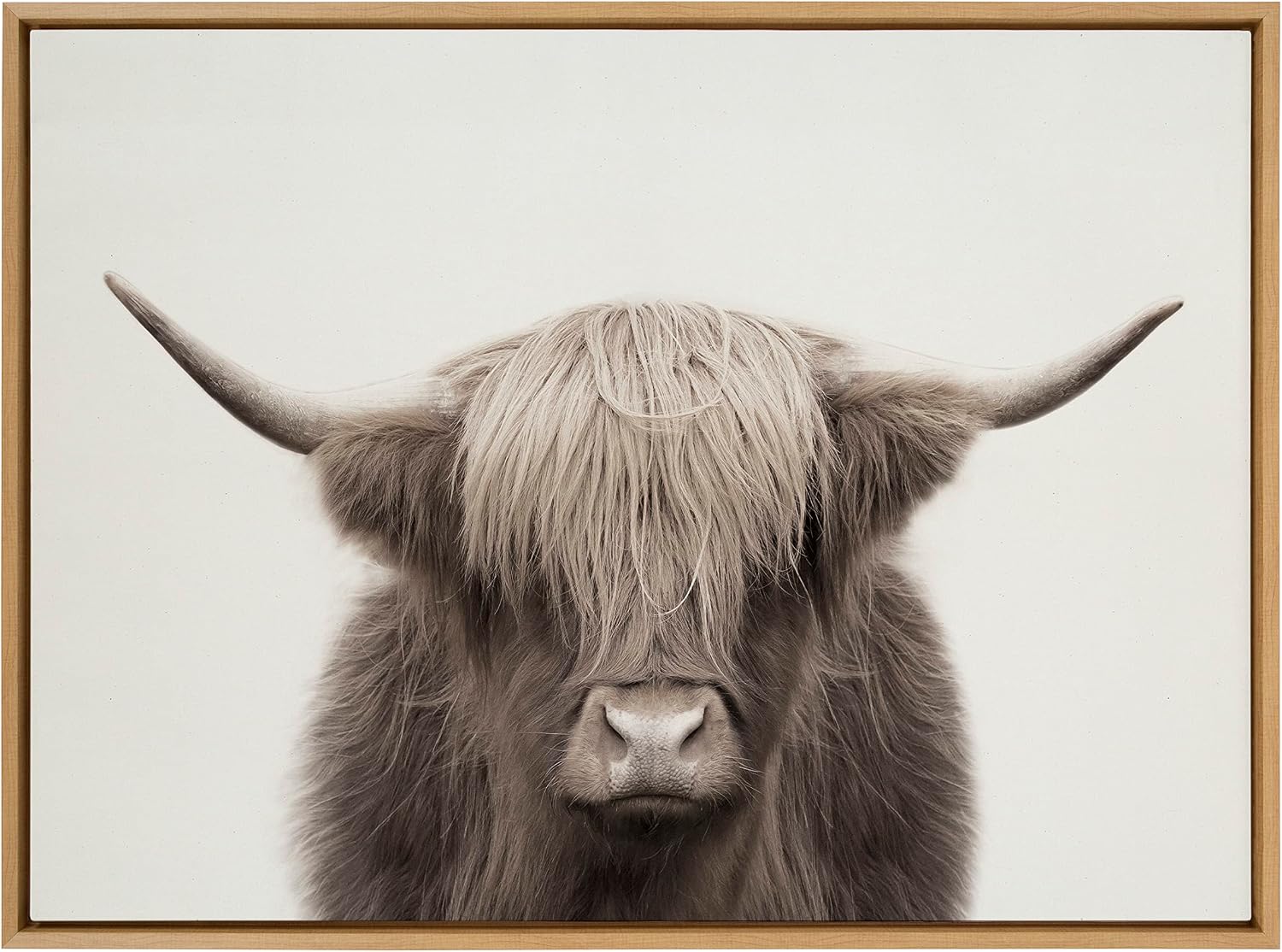 Kate and Laurel Sylvie Hey Dude Highland Cow Color Framed Linen Textured Canvas Wall Art by The Creative Bunch Studio; 31.5x41.5 Natural; Rustic Animal Wall Decor Art Piece