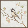 Amanti Art Framed Canvas Wall Art 30x30 Black Capped Chickadee Vintage by Danhui Nai, Framed Wall Art Canvas, Animals Artwork, Traditional Decor, Large Poster Painting for Living Room, Bedroom,