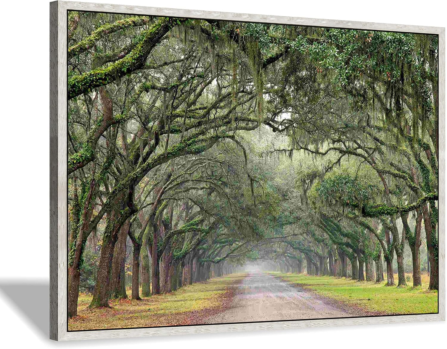 Green Oak Trees Canvas Artwork: Landscape Forest Picture Painting Wall Art Framed for Living Room (45'' x 30'' x 1 Panel)