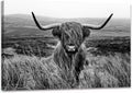 Highland Cow Wall Art Canvas Black and White Artwork Canvas Picture Highland Cow Prints Paintings Wall Decor Framed for Living Room Bathroom (28x44 inch)