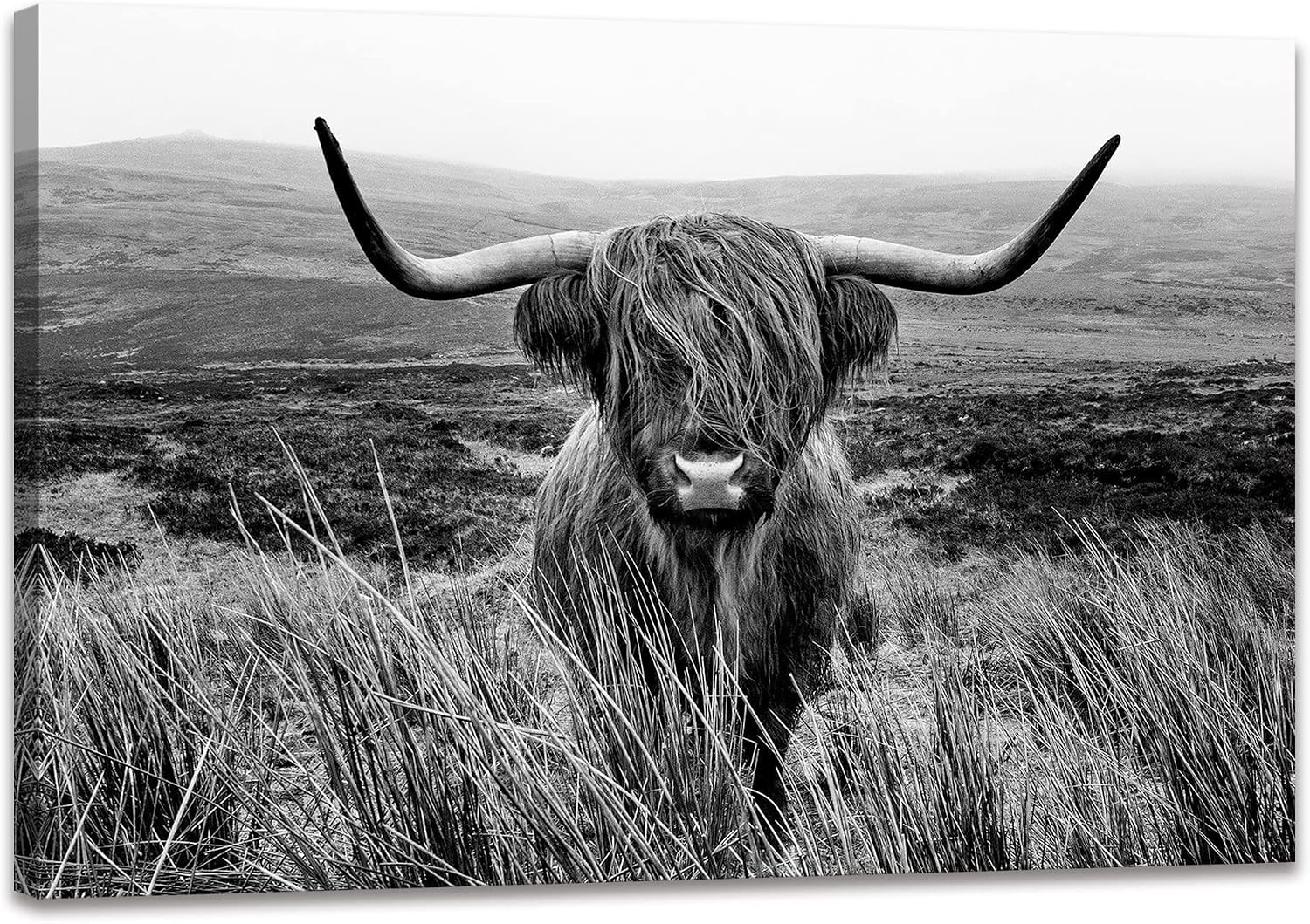 Highland Cow Wall Art Canvas Black and White Artwork Canvas Picture Highland Cow Prints Paintings Wall Decor Framed for Living Room Bathroom (28x44 inch)